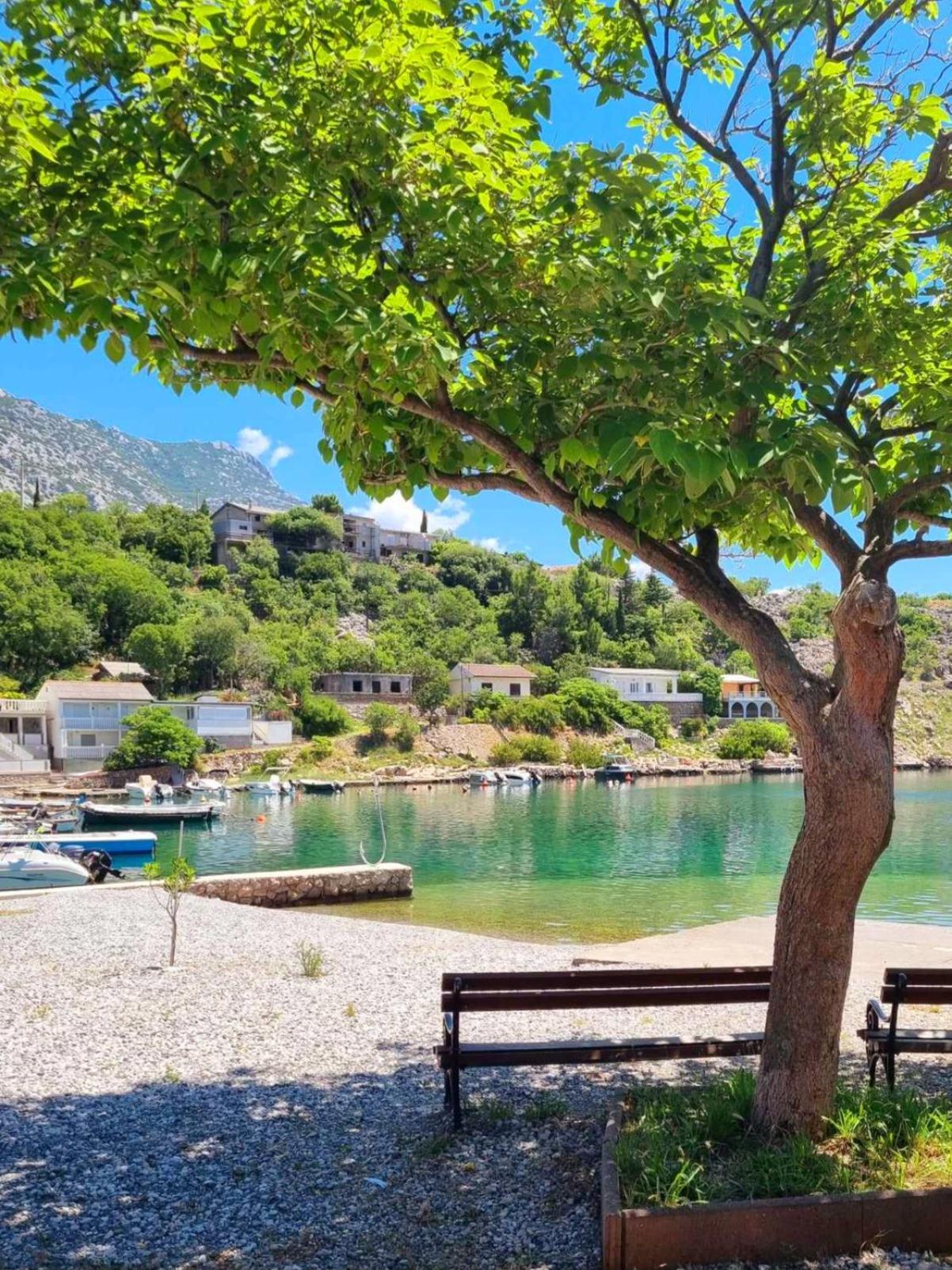 Rosemary Resort Cesarica Kültér fotó